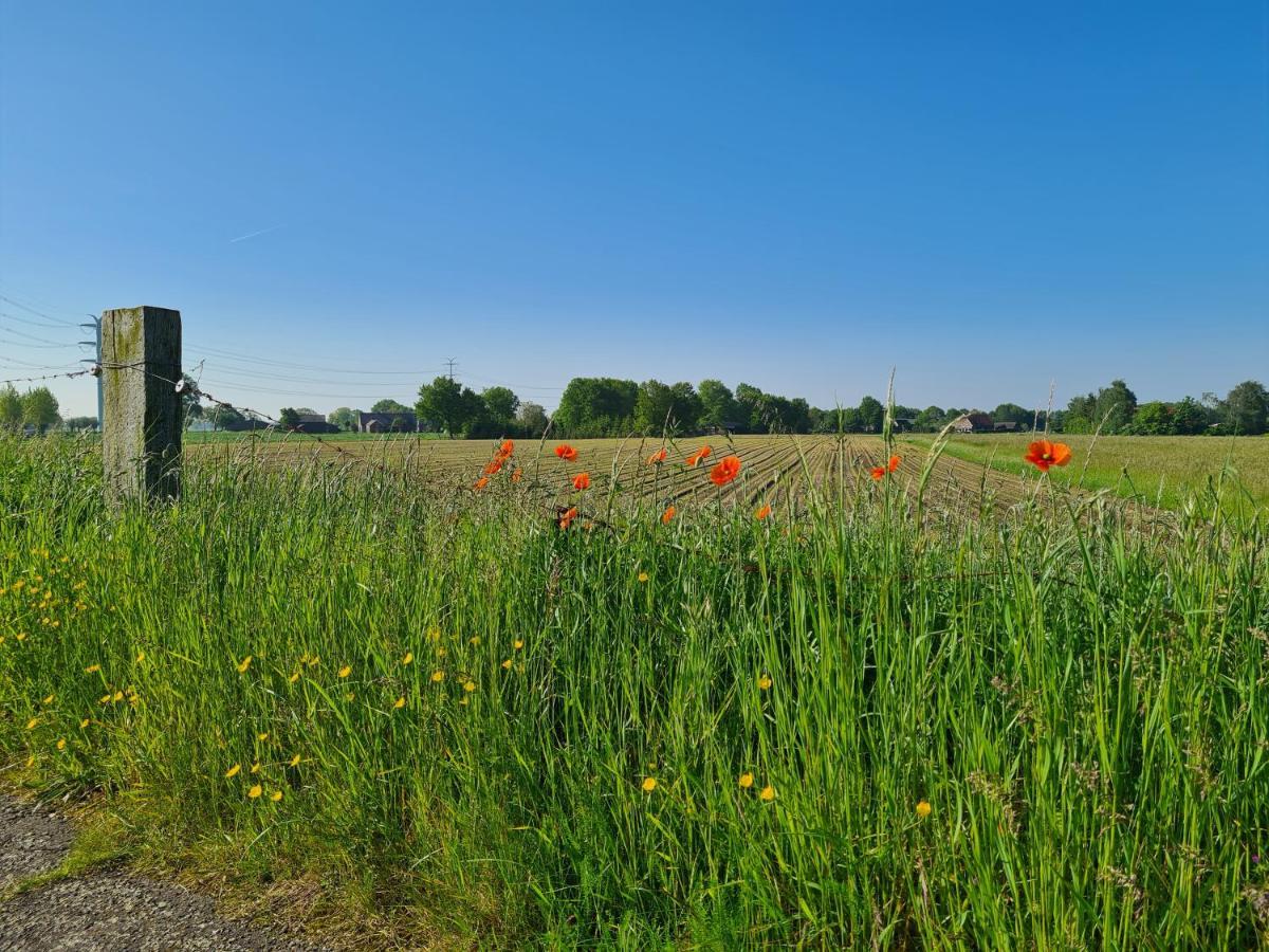 Tiny House In De Achterhoek Βίλα Voorst  Εξωτερικό φωτογραφία
